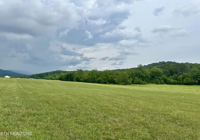Homes for sale in Blaine, TN | Lot 2 Rutledge Pike, Blaine, TN 37709 | MLS# 1328320