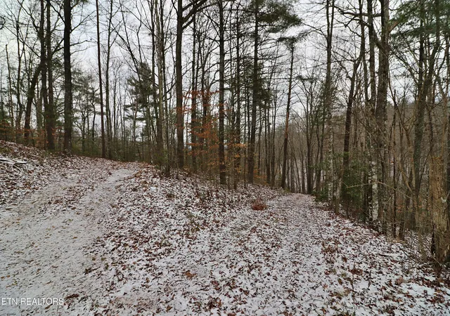 4th image of 3063 Leatherwood Rd, Oneida, TN 37841 | MLS# 1327999