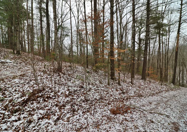 5th image of 3063 Leatherwood Rd, Oneida, TN 37841 | MLS# 1327999