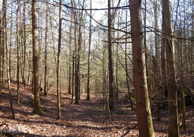Photo 1 of Land for sale at Bearpen Frk, Jamestown, TN 38556 | MLS# 1328046 | Listing updated on 2026-01-31