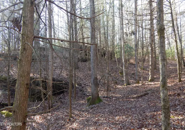 Photo 2 of Land for sale at Bearpen Frk, Jamestown, TN 38556 | MLS# 1328046 | Listing updated on 2026-01-31