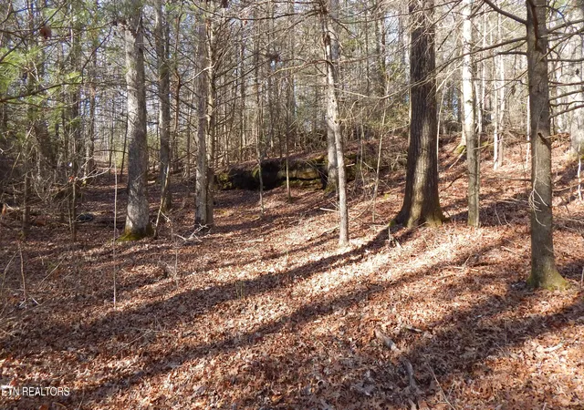 Photo 3 of Land for sale at Bearpen Frk, Jamestown, TN 38556 | MLS# 1328046 | Listing updated on 2026-01-31