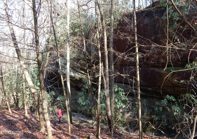 Photo 3 of Land for sale at Bearpen Frk, Jamestown, TN 38556 | MLS# 1328046 | Listing updated on 2026-01-31