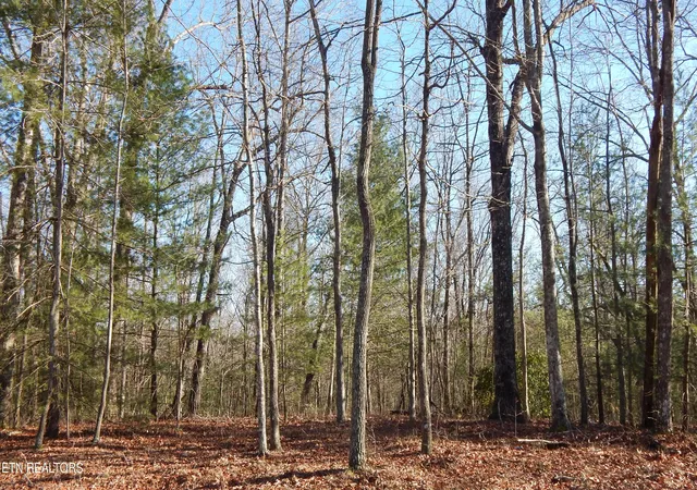 Photo 4 of Land for sale at Bearpen Frk, Jamestown, TN 38556 | MLS# 1328046 | Listing updated on 2026-01-31