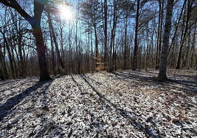 3rd image of Under The Sun Rd, Cosby, TN 37722 | MLS# 1328067