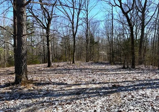 4th image of Under The Sun Rd, Cosby, TN 37722 | MLS# 1328067