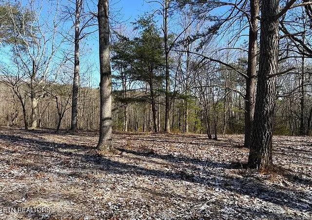 5th image of Under The Sun Rd, Cosby, TN 37722 | MLS# 1328067