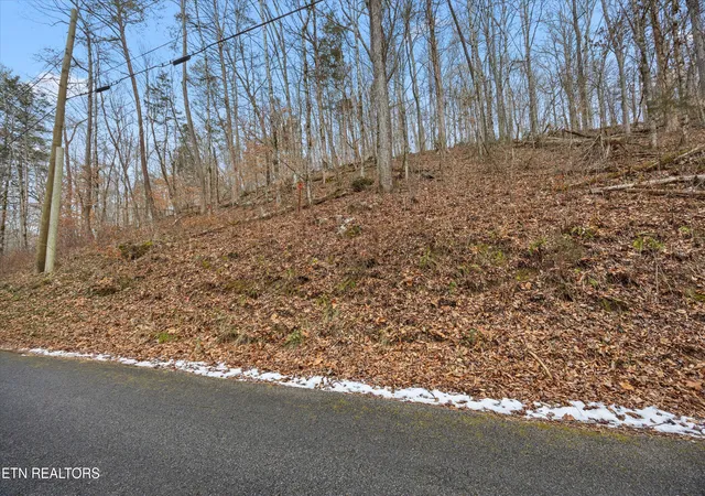 Homes for sale in Andersonville, TN | Fox Hollow Ln, Andersonville, TN 37705 | MLS# 1328330