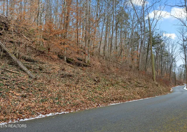 Homes for sale in Andersonville, TN | Fox Hollow Ln, Andersonville, TN 37705 | MLS# 1328330