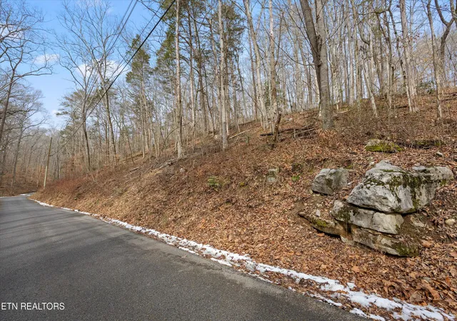 Homes for sale in Andersonville, TN | Fox Hollow Ln, Andersonville, TN 37705 | MLS# 1328330