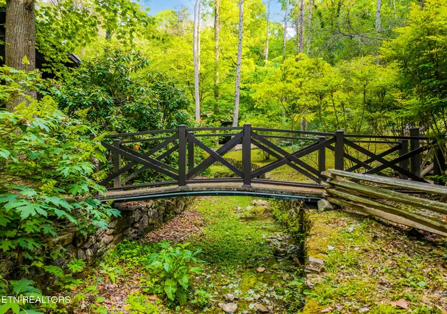 Photo 3 of Single family home for sale at 259 Black Mash Holw Rd, Townsend, TN 37882 | MLS# 1328427 | Listing updated on 2026-09-14