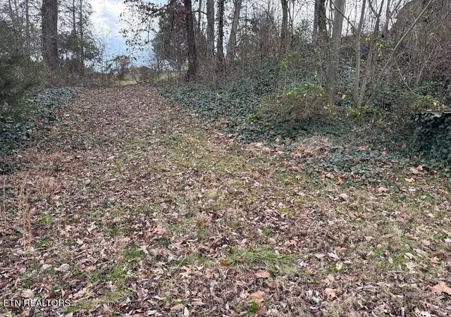5th image of 121 & 141 Spring St, Sevierville, TN 37862 | MLS# 1328451