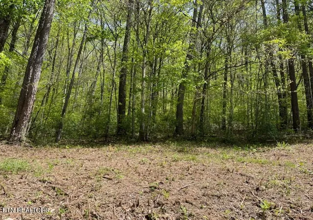3rd image of Cabin Rd, Speedwell, TN 37870 | MLS# 1328450