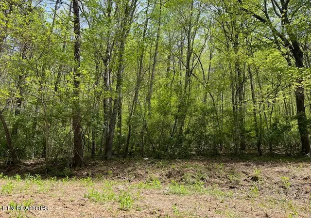 4th image of Cabin Rd, Speedwell, TN 37870 | MLS# 1328450