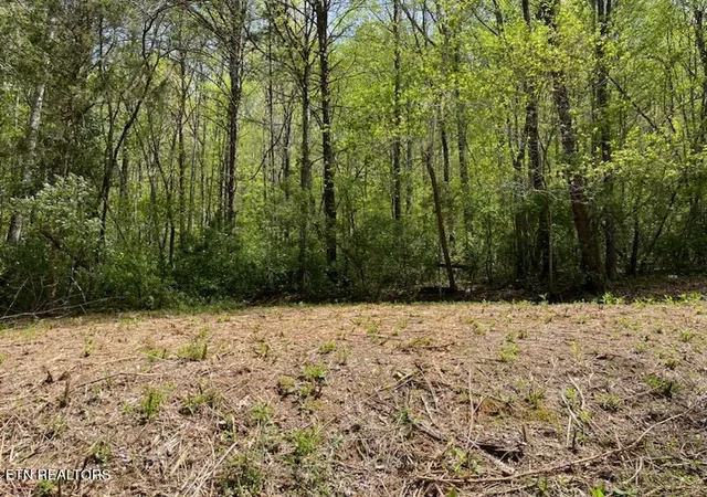 5th image of Cabin Rd, Speedwell, TN 37870 | MLS# 1328450