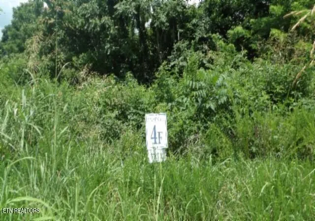 Homes for sale in Hilham, TN | Lot 4F Trout Lane, Hilham, TN 38568 | MLS# 1328549