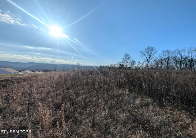 3rd image of 0 Buttermilk Rd, Knoxville, TN 37932 | MLS# 1328820