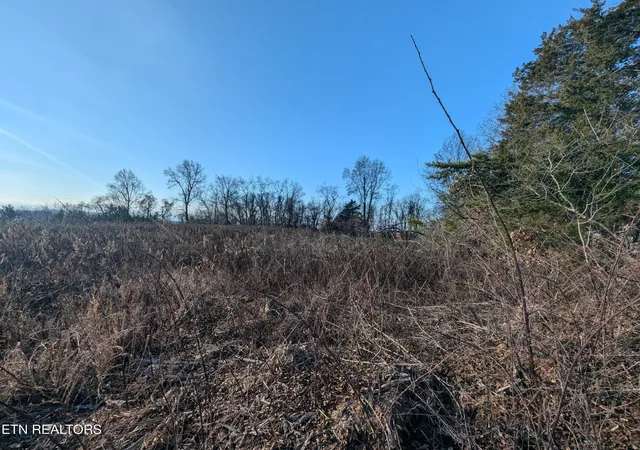 5th image of 0 Buttermilk Rd, Knoxville, TN 37932 | MLS# 1328820
