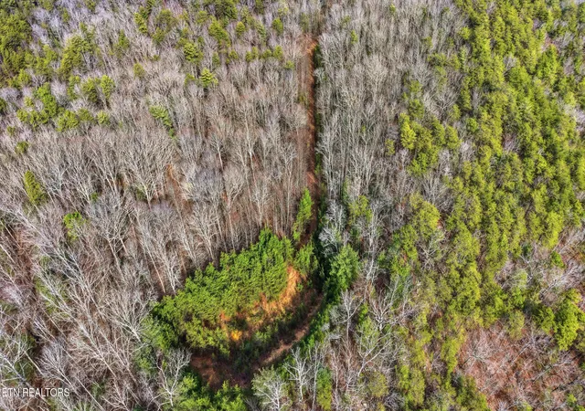 9th image of Steer Creek Rd, Tellico Plains, TN 37385 | MLS# 1329105