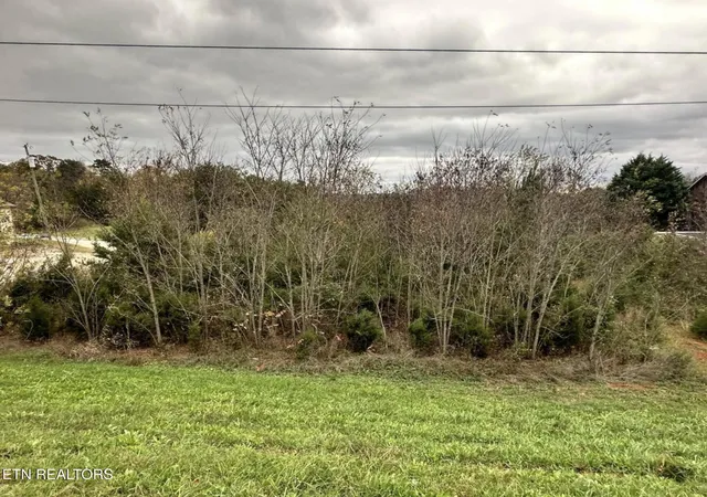 2nd image of + 137 Ac Hwy 92, Dandridge, TN 37725 | MLS# 1328908