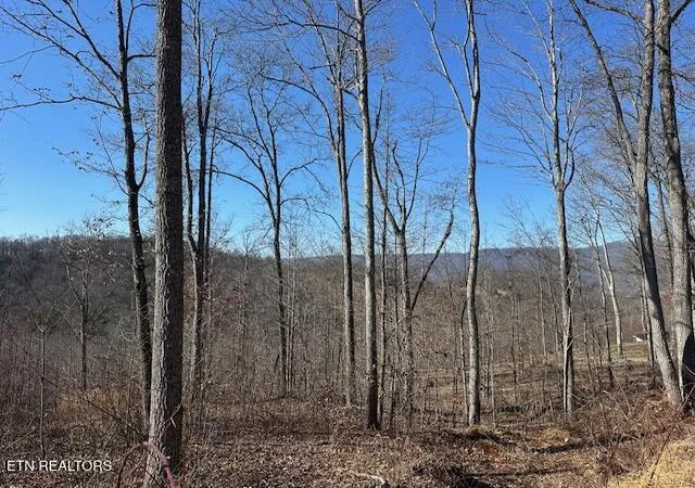 Photo 1 of Land for sale at Dooley Holw Rd, Ewing, VA 24248 | MLS# 1328915 | Listing updated on 2026-02-10