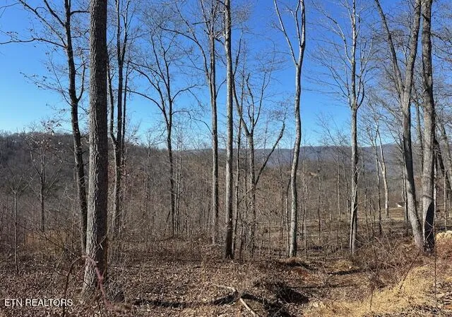 Photo 2 of Land for sale at Dooley Holw Rd, Ewing, VA 24248 | MLS# 1328915 | Listing updated on 2026-02-10