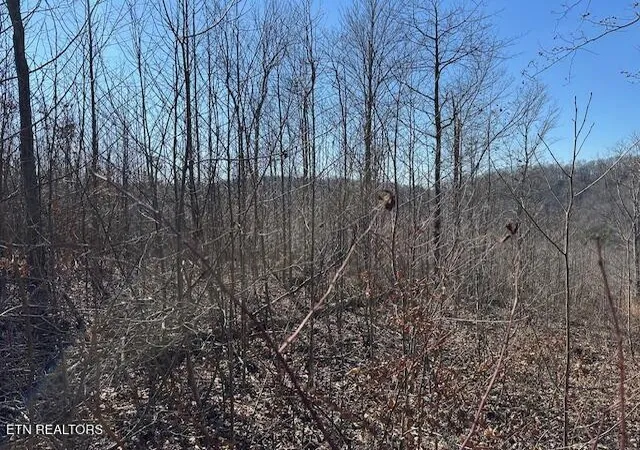 Photo 3 of Land for sale at Dooley Holw Rd, Ewing, VA 24248 | MLS# 1328915 | Listing updated on 2026-02-10