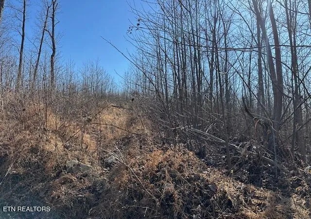 Photo 3 of Land for sale at Dooley Holw Rd, Ewing, VA 24248 | MLS# 1328915 | Listing updated on 2026-02-10