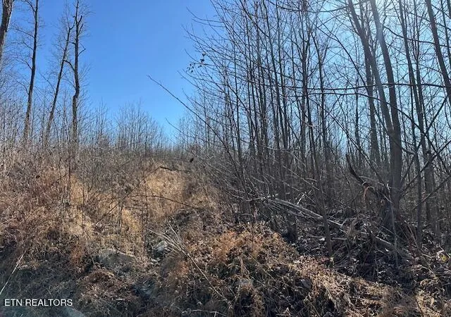Photo 4 of Land for sale at Dooley Holw Rd, Ewing, VA 24248 | MLS# 1328915 | Listing updated on 2026-02-10