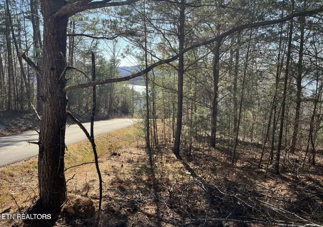 Photo 4 of Land for sale at Emerald Pt, Sharps Chapel, TN 37866 | MLS# 1331697 | Listing updated on 2026-09-17