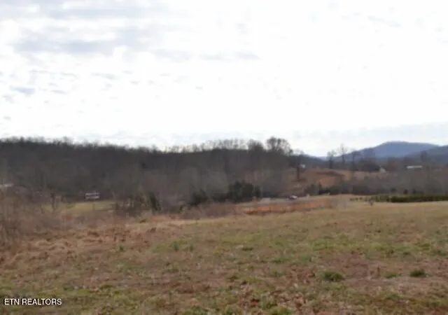 60th image of 129 Rushing Springs Rd, Monterey, TN 38574 | MLS# 1329005