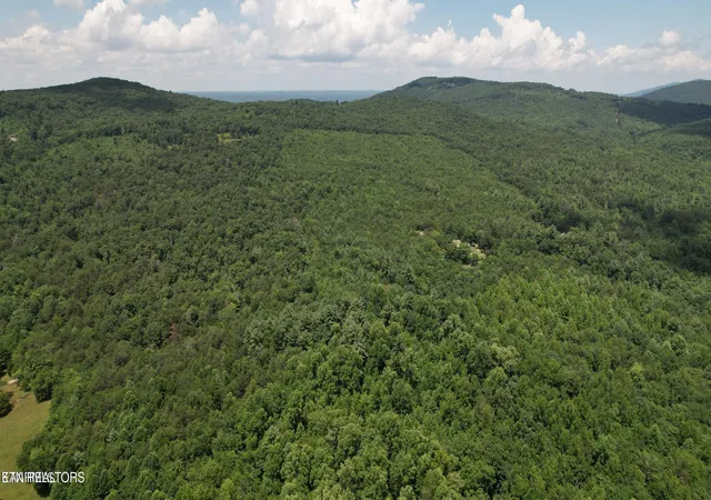 Photo 3 of Land for sale at Shady Oaks Dr, Spring City, TN 37381 | MLS# 1331171 | Listing updated on 2026-09-02