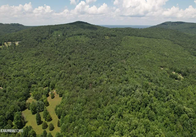 Photo 3 of Land for sale at Shady Oaks Dr, Spring City, TN 37381 | MLS# 1331171 | Listing updated on 2026-09-02