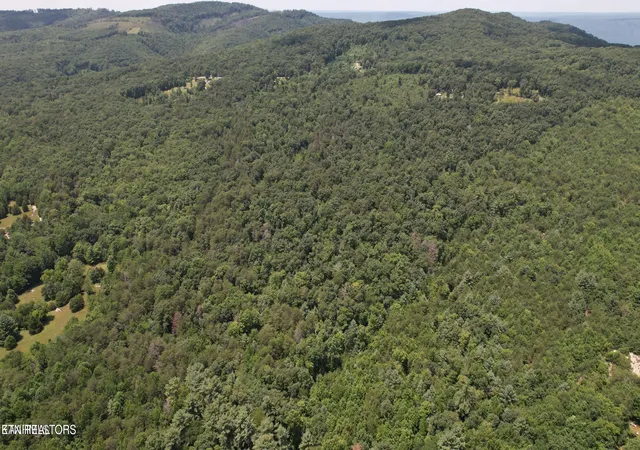 Photo 4 of Land for sale at Shady Oaks Dr, Spring City, TN 37381 | MLS# 1331171 | Listing updated on 2026-09-02