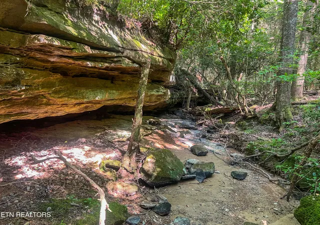 2nd image of Willie Boyatt Rd, Oneida, TN 37841 | MLS# 1329247