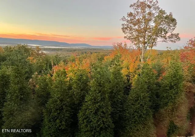 Homes for sale in Crossville, TN | 61 Bluff View Ct, Crossville, TN 38558 | MLS# 1329256