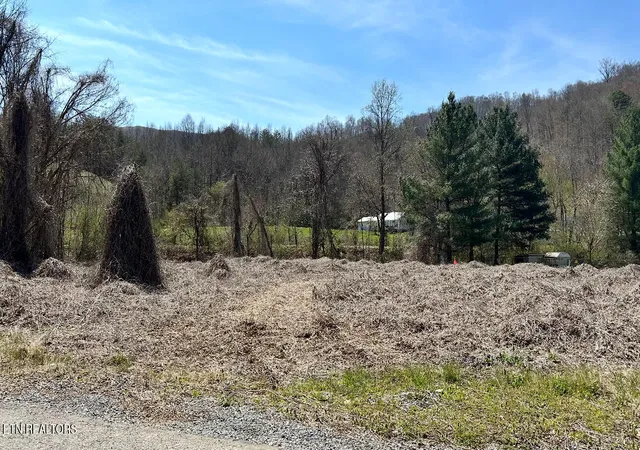 Homes for sale in Wallins, KY | Mexico Ln, Wallins, KY 40873 | MLS# 1329424