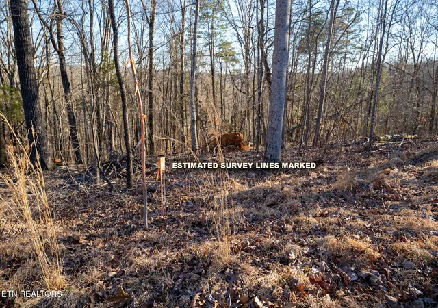 5th image of 108 Nathan Ln, Oak Ridge, TN 37830 | MLS# 1330970