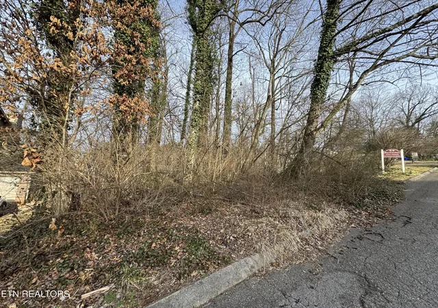 Photo 4 of Land for sale at 0 Idlewood Ln, Knoxville, TN 37923 | MLS# 1329944 | Listing updated on 2026-02-19