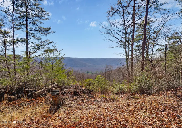 1st image of 1309 Wind Rush Wy, Monterey, TN 38574 | MLS# 1330143