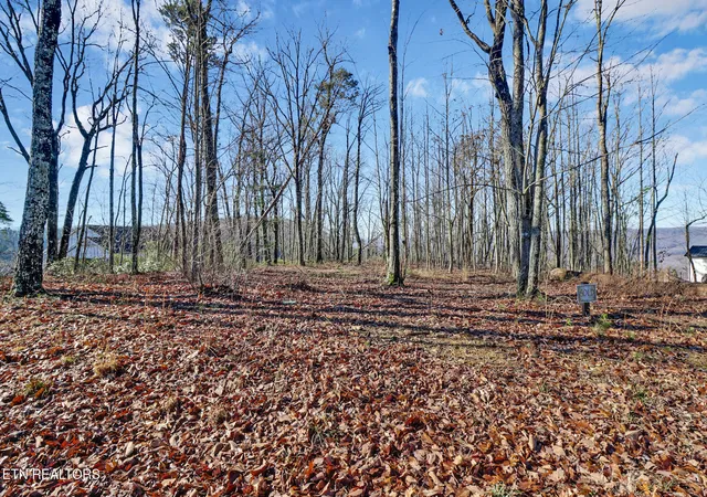 Photo 3 of Land for sale at 1309 Wind Rush Way, Monterey, TN 38574 | MLS# 1330143 | Listing updated on 2026-02-21