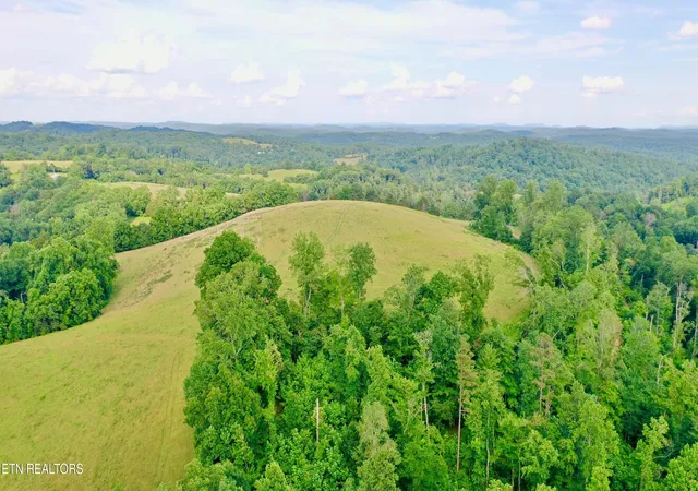 19th image of 1514 Chestnut Stump Rd, La Follette, TN 37766 | MLS# 1330475