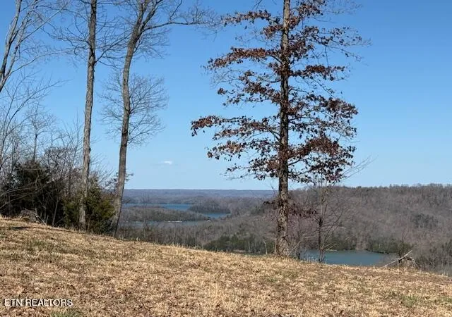 Homes for sale in Hilham, TN | N Rock Fish Rd, Hilham, TN 38568 | MLS# 1330332