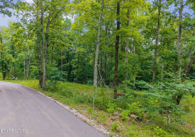 Homes for sale in Hilham, TN | N Rock Fish Rd, Hilham, TN 38568 | MLS# 1330332