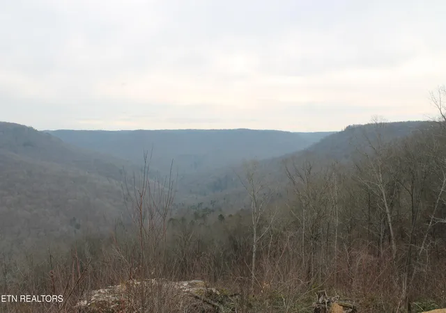 Photo 1 of Land for sale at E Bobcat Ln, Jamestown, TN 38556 | MLS# 1330536 | Listing updated on 2026-09-24