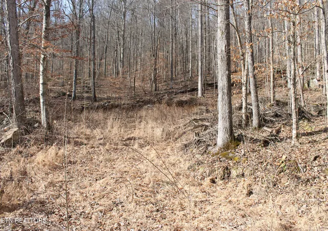 Photo 2 of Land for sale at E Bobcat Ln, Jamestown, TN 38556 | MLS# 1330536 | Listing updated on 2026-09-24