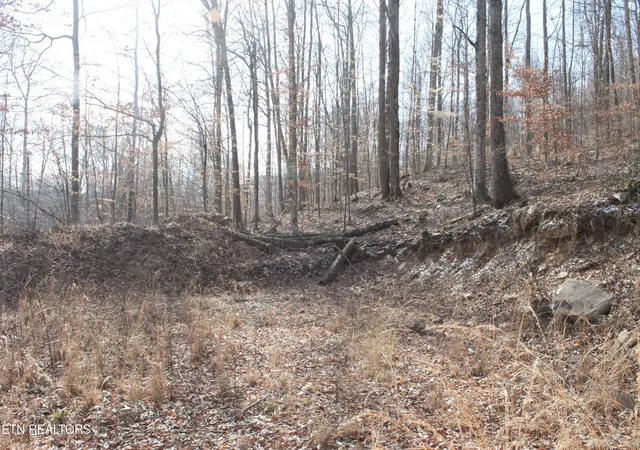 Photo 3 of Land for sale at E Bobcat Ln, Jamestown, TN 38556 | MLS# 1330536 | Listing updated on 2026-09-24