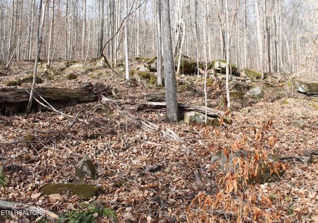 Photo 3 of Land for sale at E Bobcat Ln, Jamestown, TN 38556 | MLS# 1330536 | Listing updated on 2026-09-24