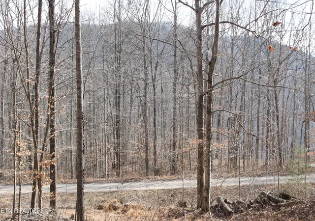 Photo 4 of Land for sale at E Bobcat Ln, Jamestown, TN 38556 | MLS# 1330536 | Listing updated on 2026-09-24