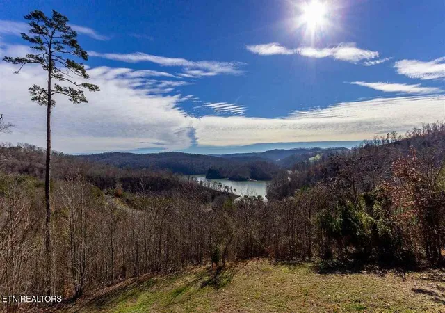 Photo 3 of Land for sale at Lot 717 Whistle Valley Rd, New Tazewell, TN 37825 | MLS# 1330609 | Listing updated on 2026-08-20